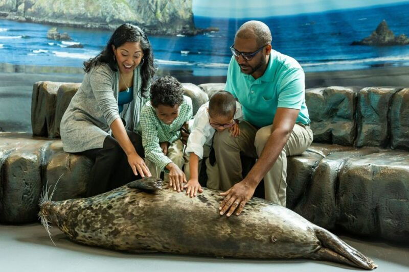 georgia-aquarium-sea-lion-encounter