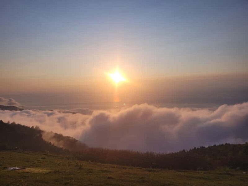 Georgia (Batumi): Private Customizable Tour with Guide - Who This Tour Suits Best