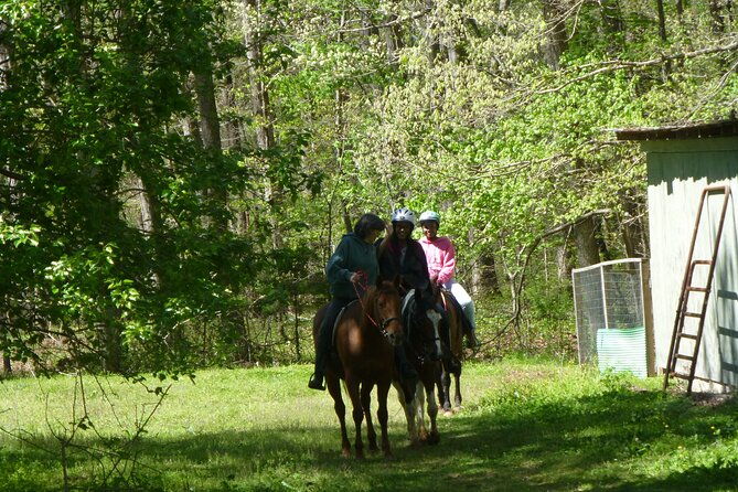 georgia-horseback-ride-with-wine-tasting