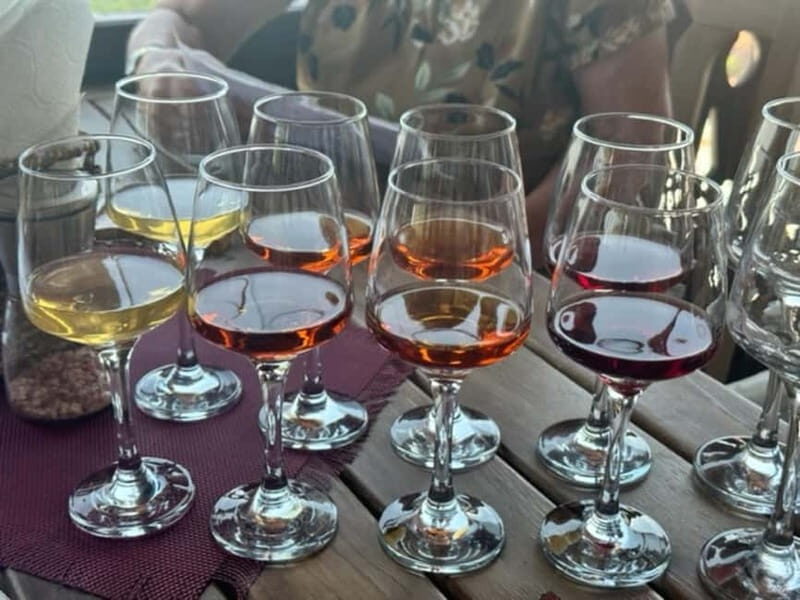Georgian Wine Tasting at Local Cellar in Batumi - Why This Tour Is Perfect for You