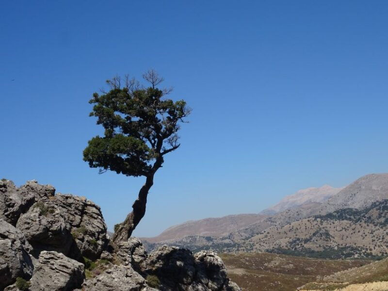 georgioupolis-full-day-land-rover-safari-experience