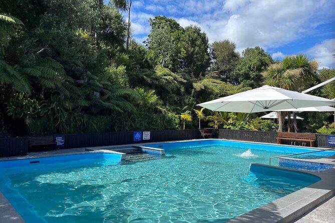 Geothermal Mineral Bathing Hot Pool Experience - Introduction: A Natural Hot Pool Escape in Tauranga