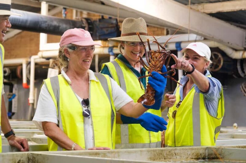 Geraldton: Behind-The-Scenes Ocean Harvest Tour - Exploring Geraldton’s Maritime Heritage