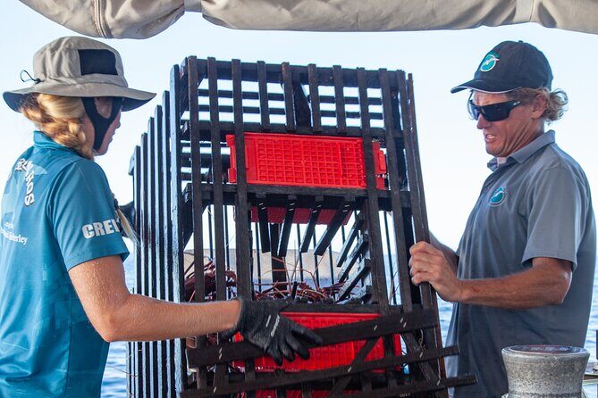 Geraldton Lobster Pot Pull - Reviews That Speak for Themselves