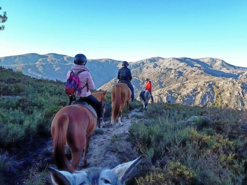 geres-braga-horseback-ride-in-peneda-geres-national-park