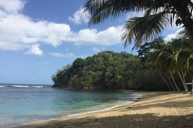 german-speaking-island-tour