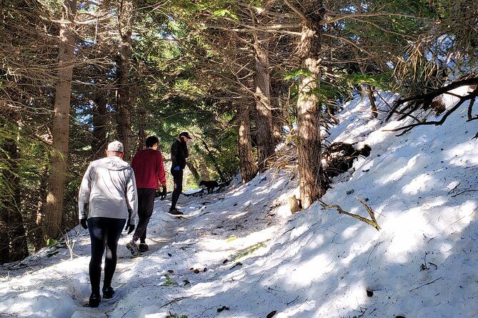 german-trekking-to-berghof-mountain-stories