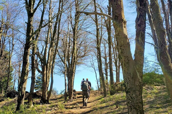german-trekking-to-berghof-mountain-stories