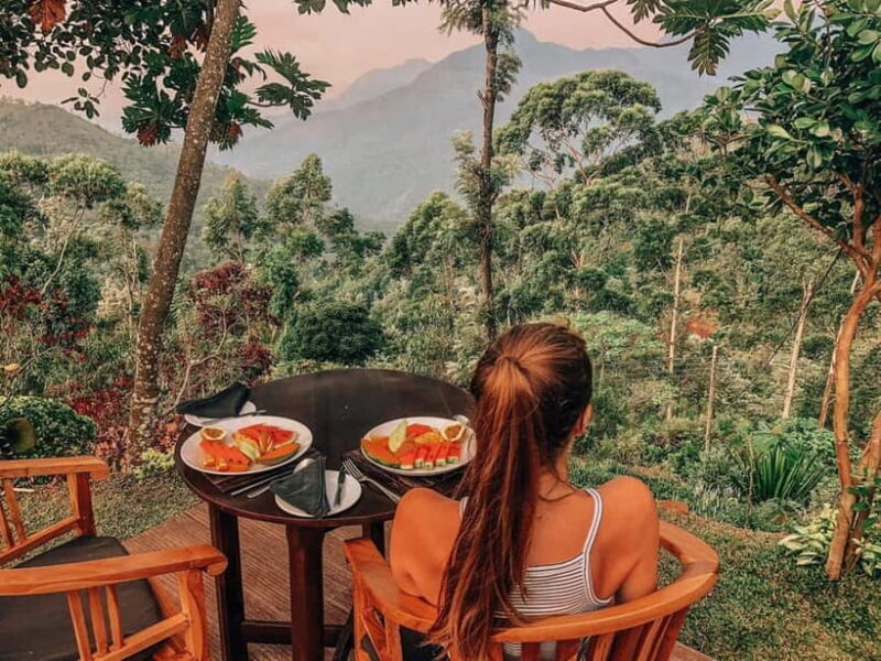 Get a private driver for day tours around Sri Lanka - Exploring Sri Lanka with a Private Driver