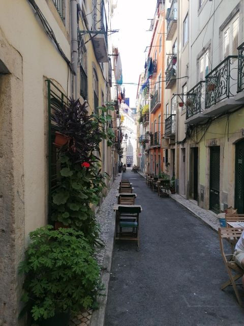 get-a-tuktuk-tour-with-a-local-guide