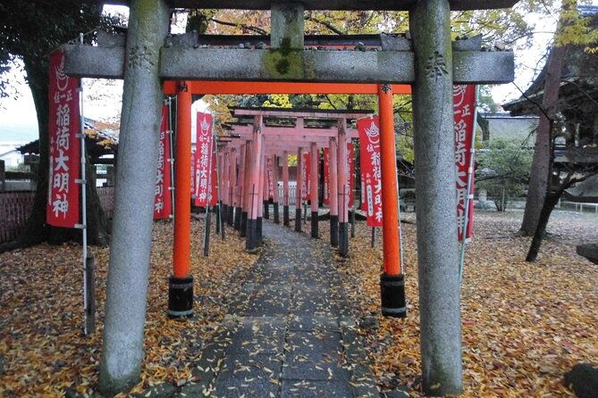 get-amazing-views-of-kyoto-mt-amida-ga-mine-hiking-tour