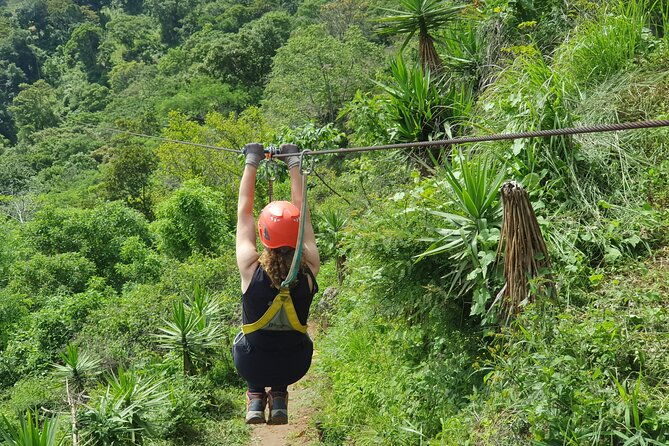 get-fun-with-an-adventure-tour-zip-line-canopy