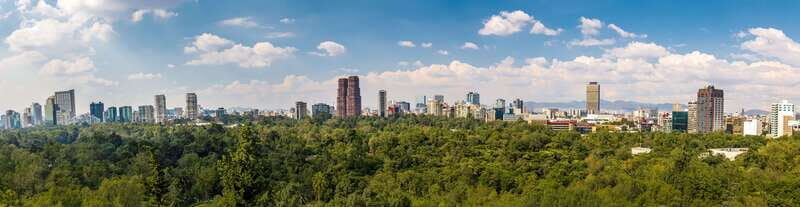 Get lost in the neighborhoods of CDMX on a private tour. - Key Points