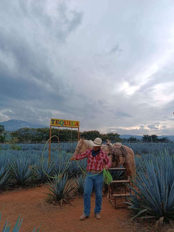 get-on-chile-know-everything-about-tequila-in-la-rienda