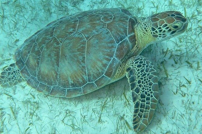 get-scuba-certified-at-san-juan