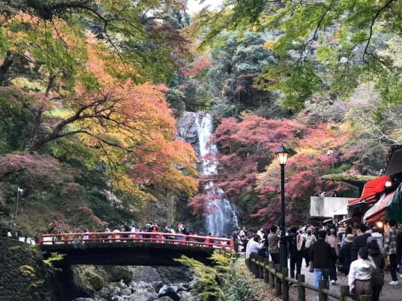 Get to know Minoo from Osaka. Katsuoji Temple, Ryuanji Waterfall and Ryuanji Temple - Key Points