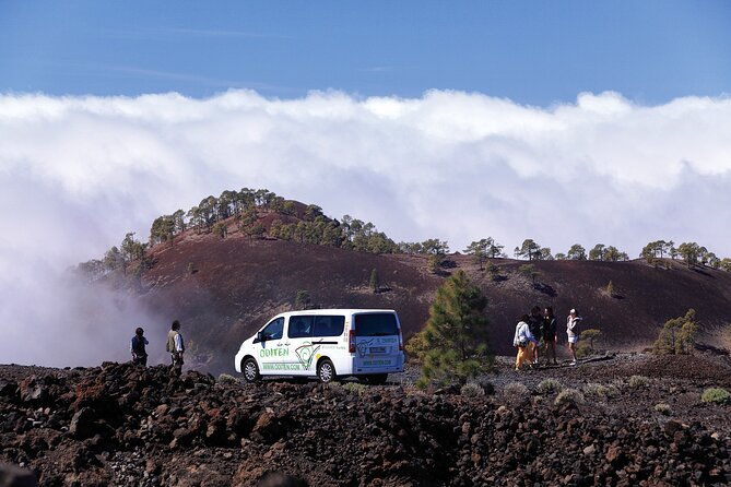 get-to-know-the-teide-national-park-and-the-south-of-tenerife-on-a-private-tour-2