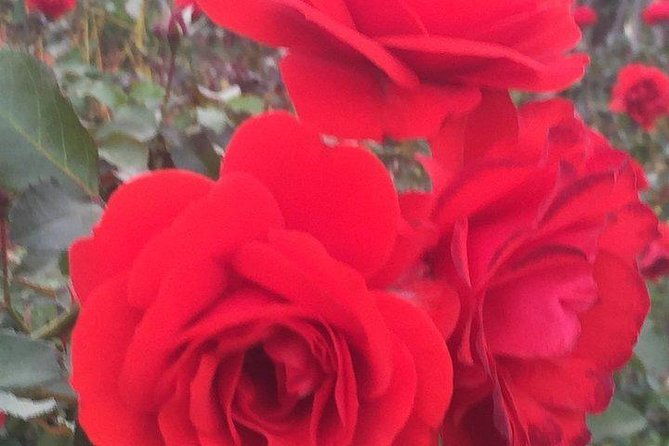 getty-museum-private-tour