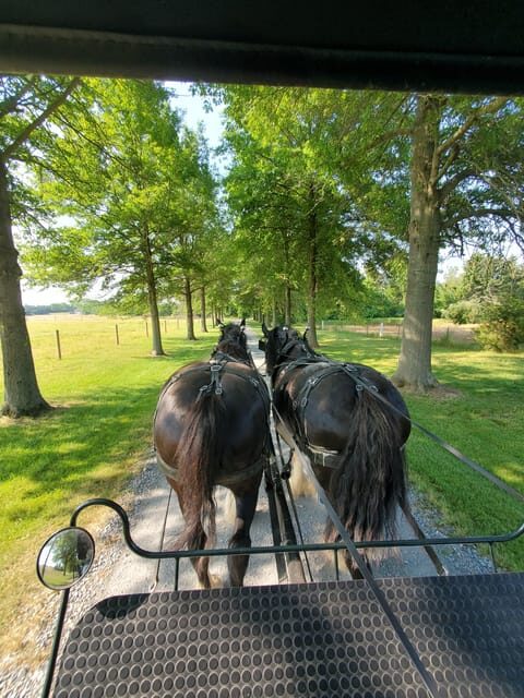 Gettysburg: Horse-Drawn Carriage Tour Countryside & Orchards - Practical Details & Value