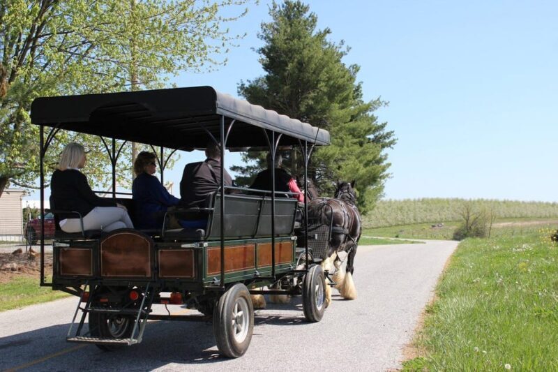 Gettysburg: Horse-Drawn Carriage Tour Countryside & Orchards - Authenticity & Traveler Insights