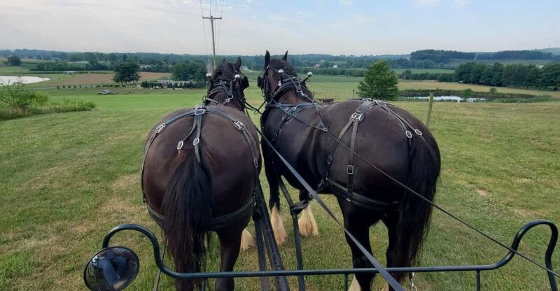 gettysburg-horse-drawn-carriage-tour-countryside-orchards
