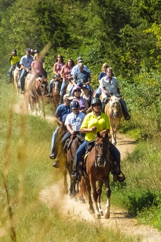 gettysburg-licensed-guided-battlefield-horseback-tour