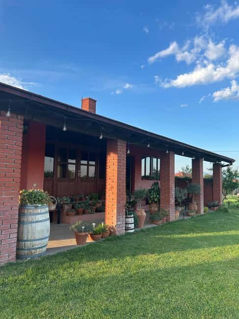 Gevgelija: Jostela Winery Wine Tasting Tour - Key Points
