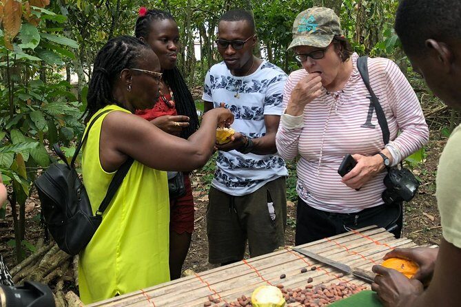Ghana Eastern Explorer - Boti Falls, Aburi Gardens & Tetther Quarshie Cocoa Farm - In-Depth Look at the Ghana Eastern Explorer Tour