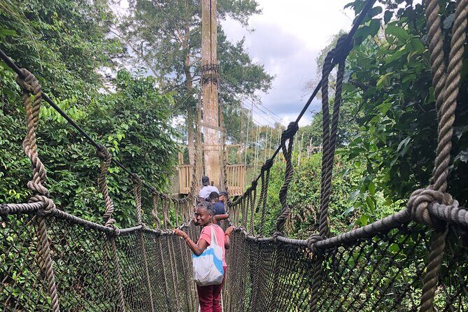 Ghana Private Historic Tour through Castles and Nature - An In-Depth Look at the Tour Itinerary