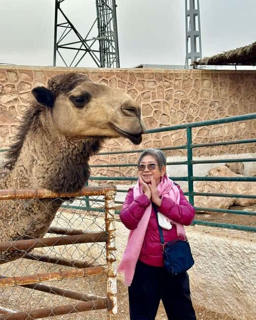 Ghardaia: 3-Day Guided Tour with History and Desert Serenity - Transportation, Accommodation, and Overall Value  