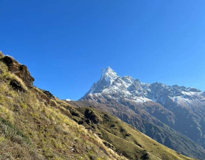 Ghorepani Poon Hill & Mardi Himal Trek - What to Expect from the Experience