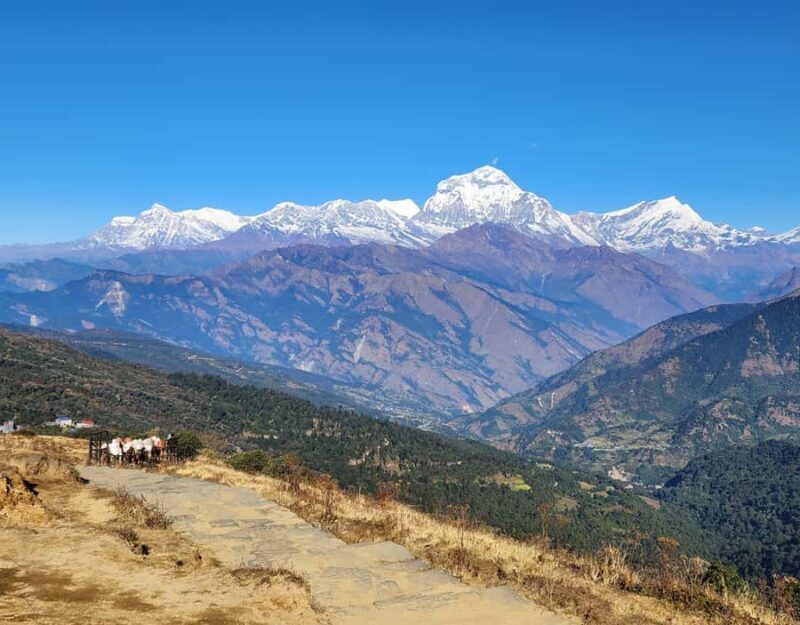 Ghorepani Poon Hill & Mardi Himal Trek - Frequently Asked Questions