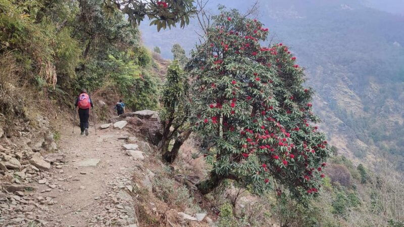ghorepani-poon-hill-trek-4-days-full-package