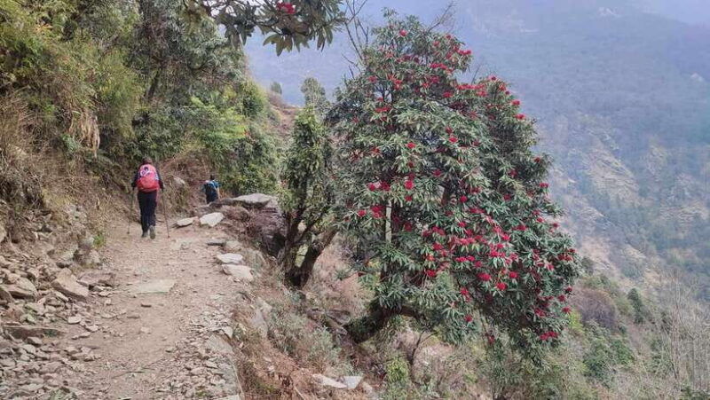 ghorepani-poon-hill-trek-4-days-full-package