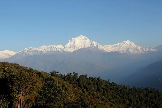 Ghorepani Poon Hill Trek - Final Thoughts: Is the Ghorepani Poon Hill Trek for You?