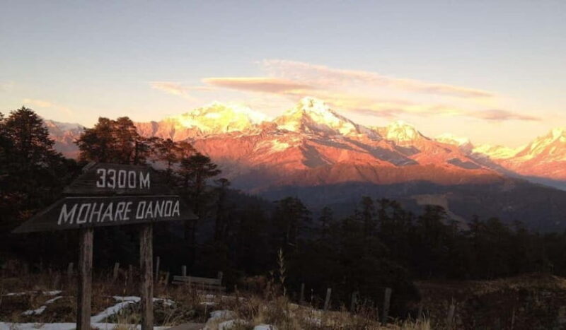 Ghorepani poon hill trek - An In-Depth Look at the Ghorepani Poon Hill Trek