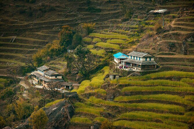 Ghorepani Poonhill Ghandruk Trek from Pokhara: 4-Day Adventure - Key Points
