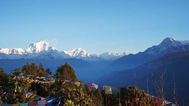 Ghorepani Poonhill Trek 8 Days - What to Expect from the Experience