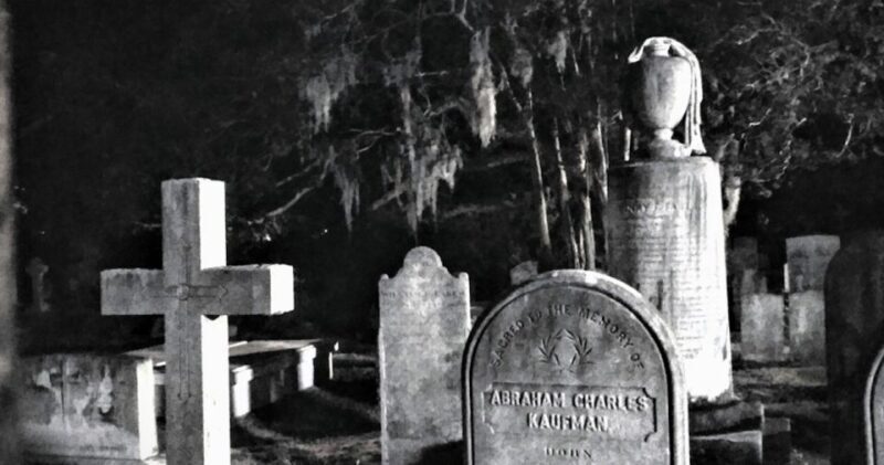 Ghost Tour - Charleston Dark History & Ghost Tour With Adam - Who Will Love This Experience?