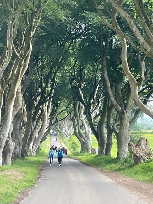 Giants Causeway 4 Hour Private Tour - Key Points