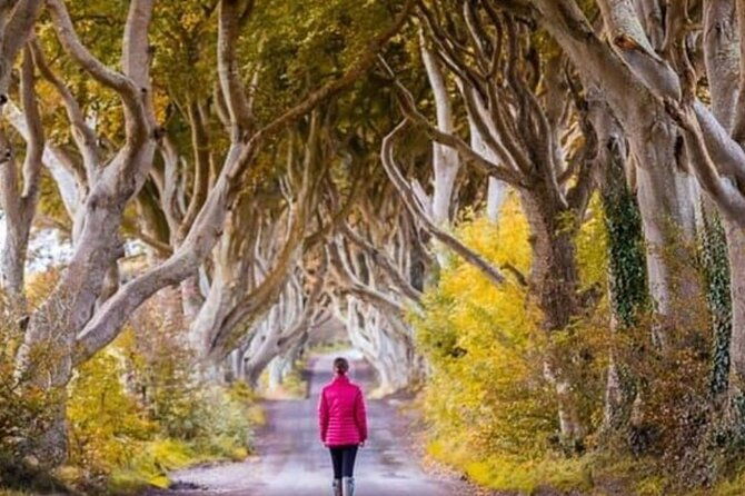 giants-causeway-and-belfast-2-days-with-private-chauffeur-tour-2