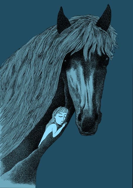 giara-horse-museum-entry-ticket