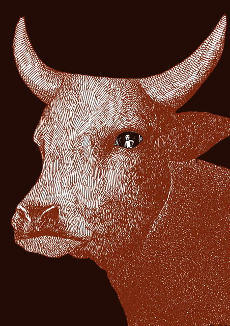 giara-horse-museum-entry-ticket