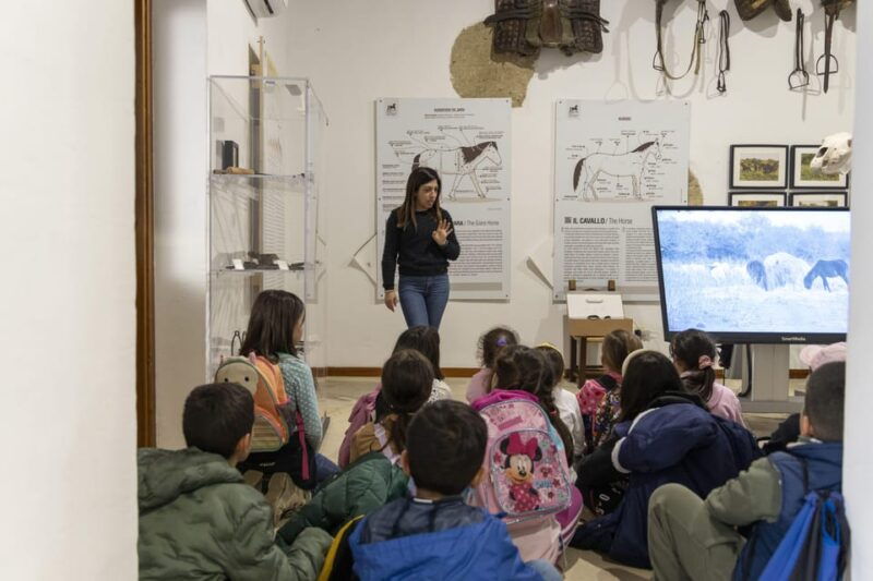 giara-horse-museum-entry-ticket