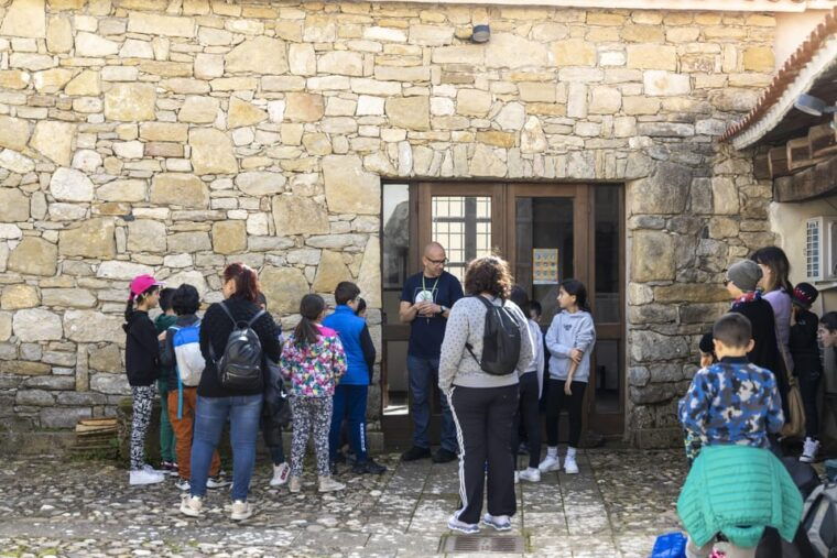 giara-horse-museum-entry-ticket