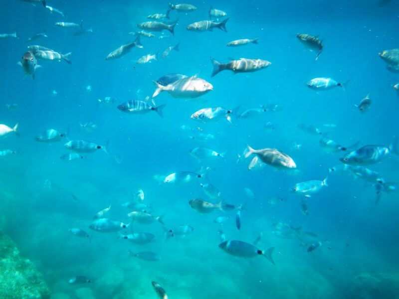 giardini-naxos-semi-submarine-tour-to-isola-bella