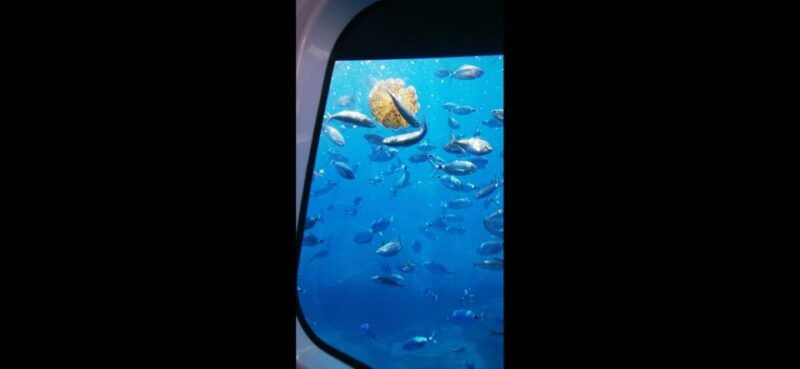 giardini-naxos-semi-submarine-tour-to-isola-bella