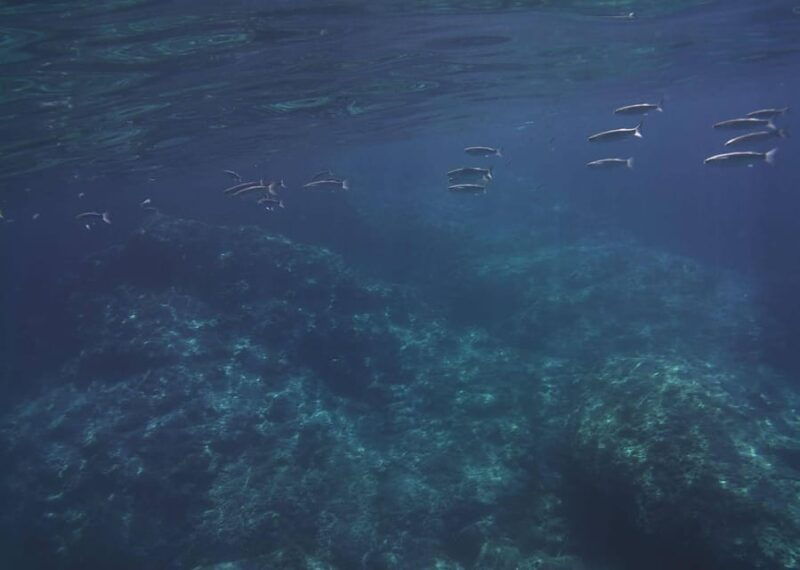 giardini-naxos-taormina-beautiful-island-cruise-with-aperitif