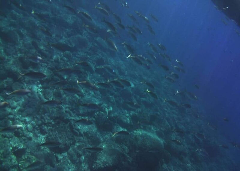 giardini-naxos-taormina-beautiful-island-cruise-with-aperitif