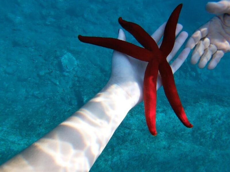 giardini-naxos-taormina-coast-boat-tour-with-snorkeling